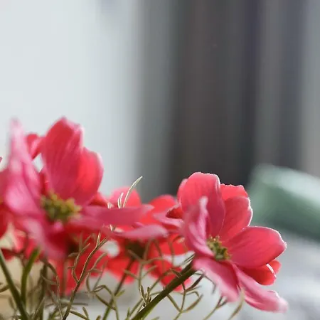 Apartment Gieysztora Wilanow,